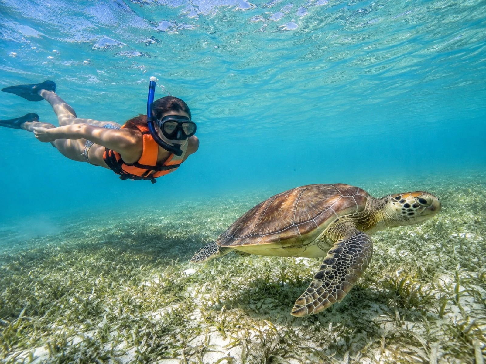Akumal Bay Guided Snorkeling