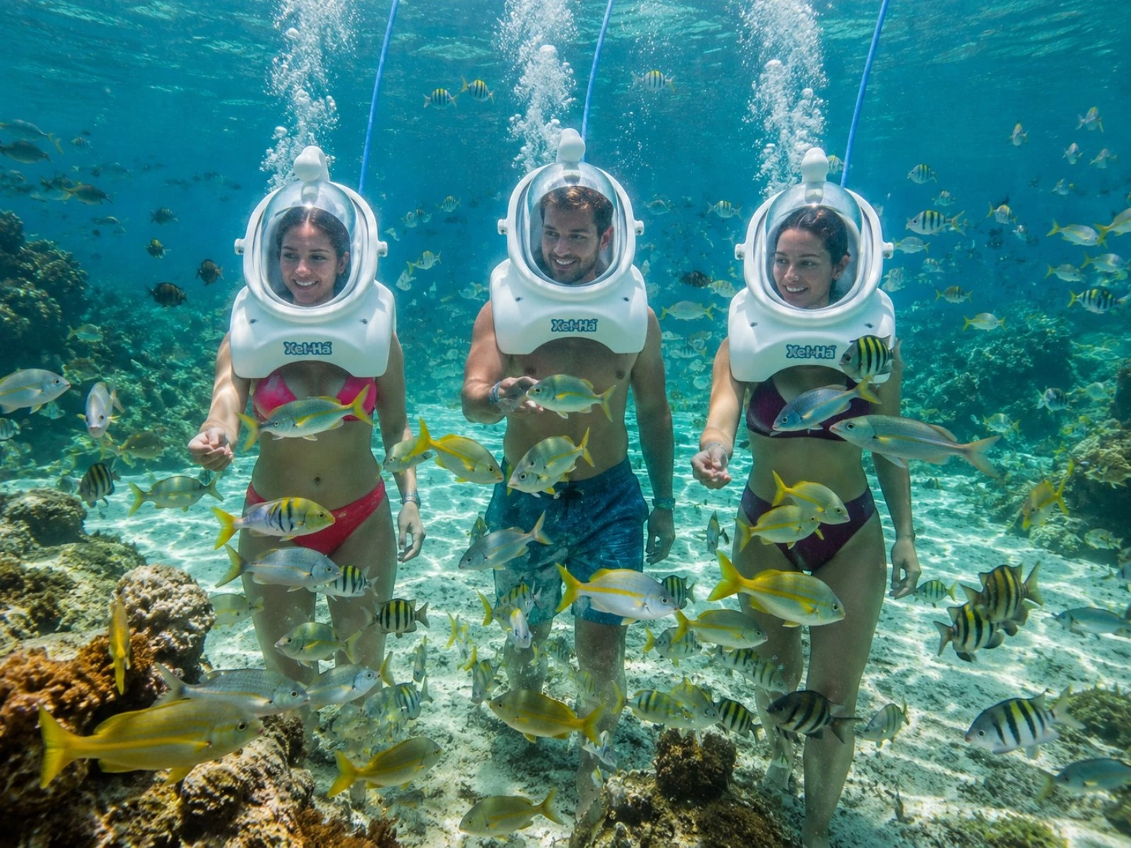 Sea Trek® Underwater Walk at Xel-Há