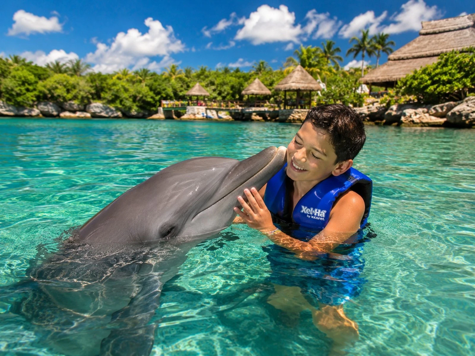 Delphinus Primax — Premium Dolphin Swim at Xel-Há